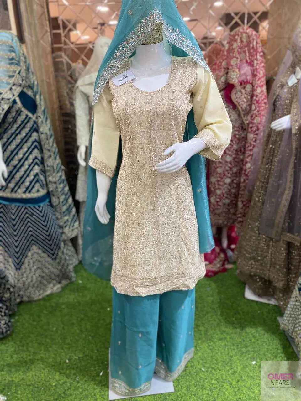 Traditional Pakistani Suit with Dupatta – Bridal & Party Wear ✨